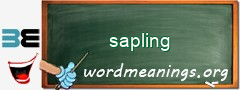 WordMeaning blackboard for sapling